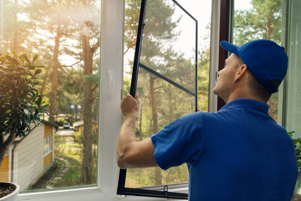 Mosquito Net on Windows